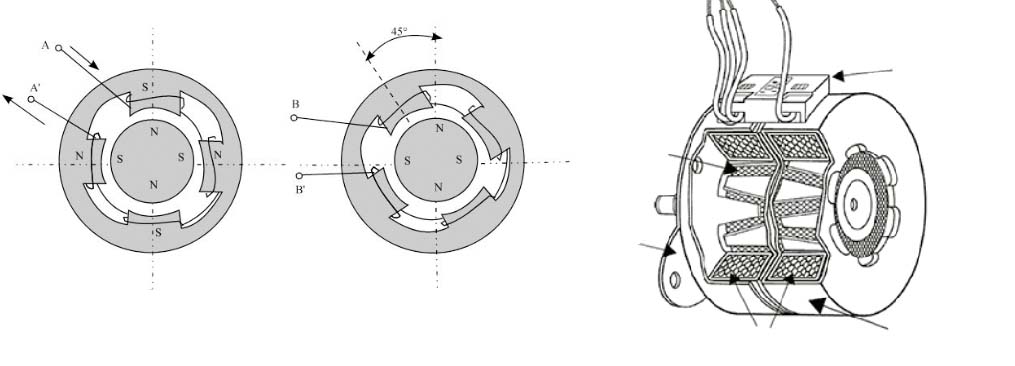 Fig. 1 - Schematization of a permanent magnet stepper motor